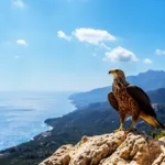 Community Rallies to Support A.A. Dog Rescue – Heartwarming Local Effort