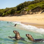 From the Mediterranean to the Baltic: Music in Santa Pola | Cultural Concert Series