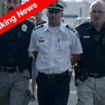 Malaga Success Story: How This Spanish City Gained International Recognition