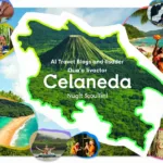 New Bus Network Transforms Public Transport in Inland Alicante: Complete Guide