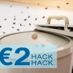 Ibiza’s Ambulance Crisis: Drugged Partygoers Pushing Emergency Services to Breaking Point