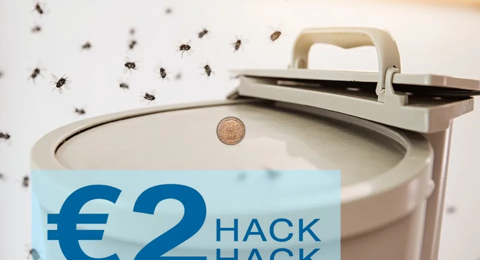 This €2 Hack Could Keep Flies Out of Your Trash: Budget-Friendly Solution for Pest Control