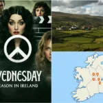 Estepona Cops Bust Major Grifter Gang: Inside Spain’s Biggest Fraud Operation