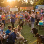 Russian Drones Shot Down Over Poland: NATO Tensions Rise in Biggest East-West Escalation